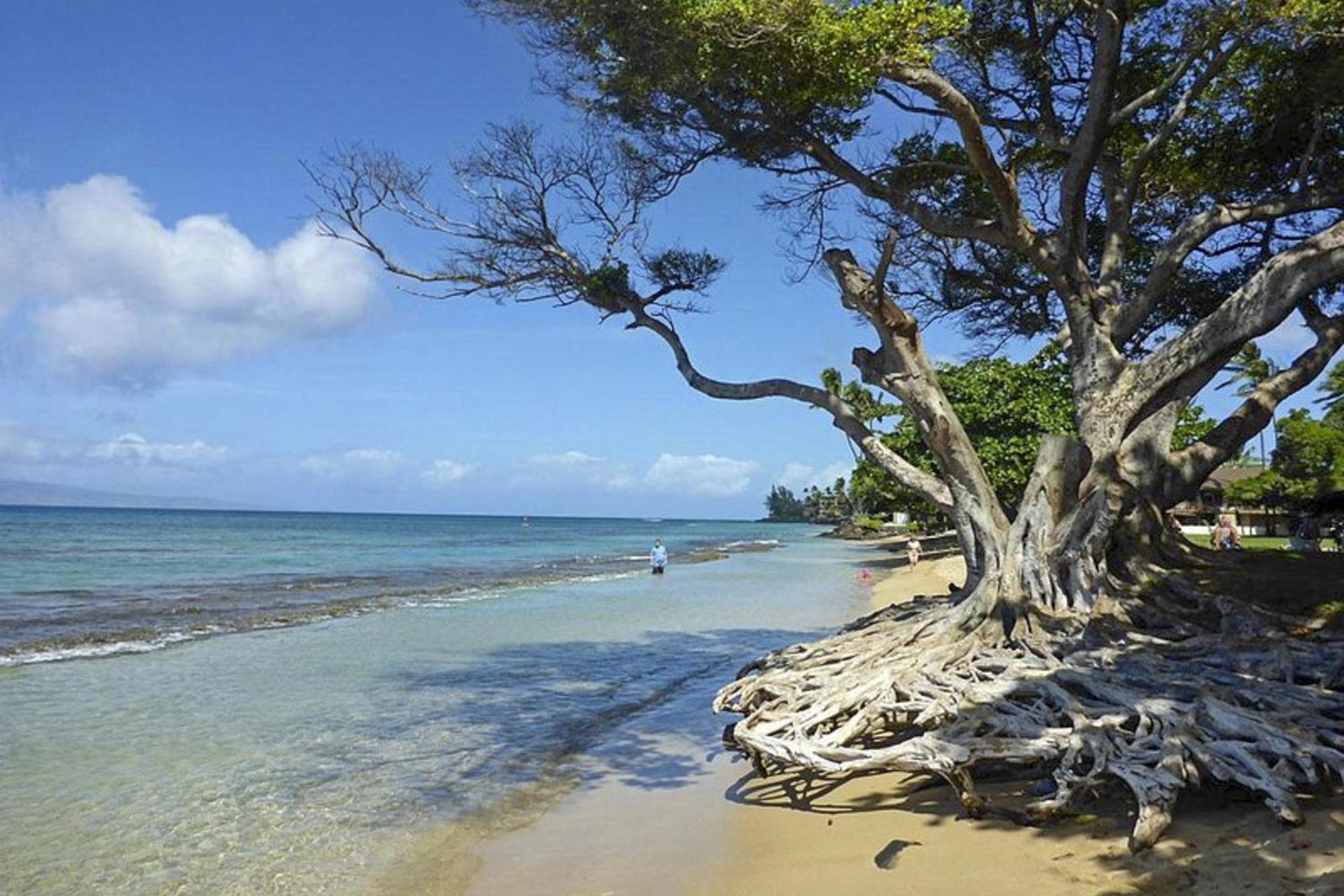 Polynesian Shores 118 カハナ エクステリア 写真